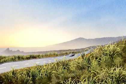 2029年06月14日提车日子如何 宜买新车吉日查询