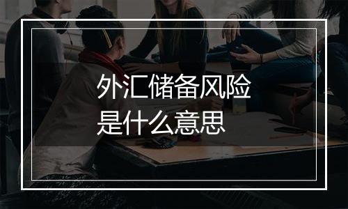 外汇储备风险是什么意思