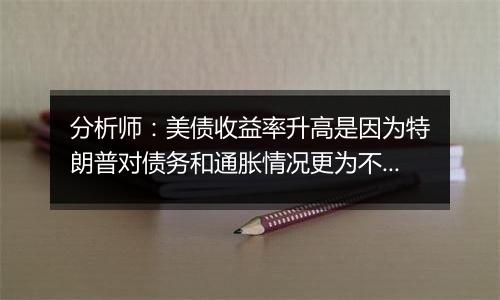 分析师：美债收益率升高是因为特朗普对债务和通胀情况更为不利