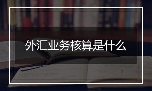 外汇业务核算是什么