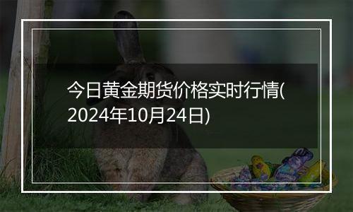 今日黄金期货价格实时行情(2024年10月24日)