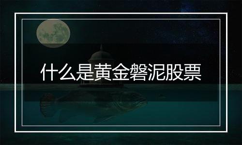 什么是黄金磐泥股票