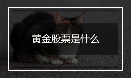 黄金股票是什么