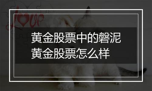 黄金股票中的磐泥黄金股票怎么样