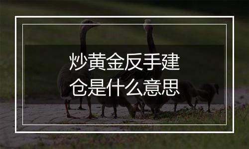 炒黄金反手建仓是什么意思