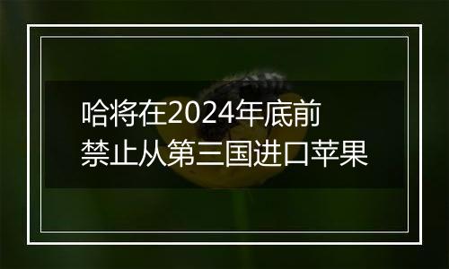 哈将在2024年底前禁止从第三国进口苹果