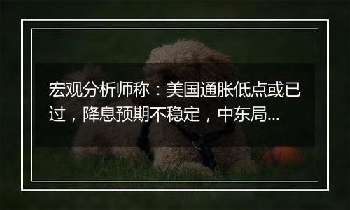 宏观分析师称：美国通胀低点或已过，降息预期不稳定，中东局势或影响油价，美国再度降息或受限