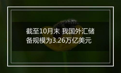 截至10月末 我国外汇储备规模为3.26万亿美元