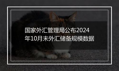 国家外汇管理局公布2024年10月末外汇储备规模数据