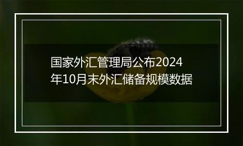 国家外汇管理局公布2024年10月末外汇储备规模数据