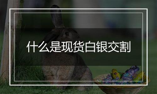 什么是现货白银交割