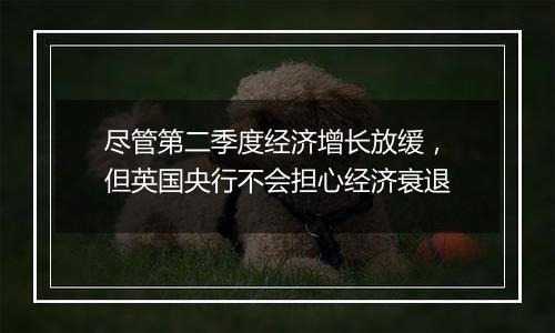 尽管第二季度经济增长放缓，但英国央行不会担心经济衰退