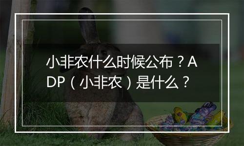 小非农什么时候公布？ADP（小非农）是什么？