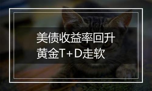 美债收益率回升黄金T+D走软