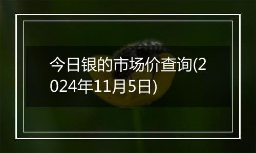今日银的市场价查询(2024年11月5日)