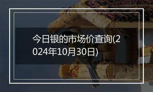 今日银的市场价查询(2024年10月30日)