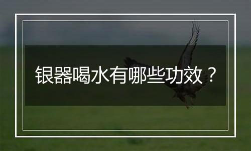 银器喝水有哪些功效？