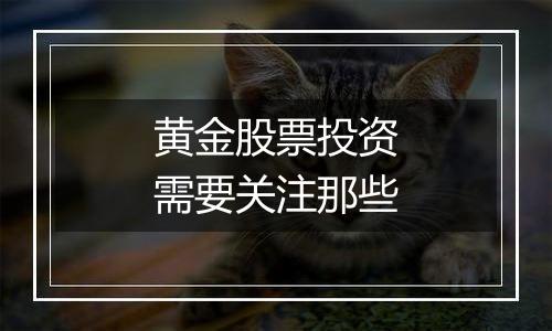 黄金股票投资需要关注那些