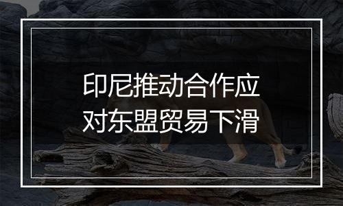 印尼推动合作应对东盟贸易下滑