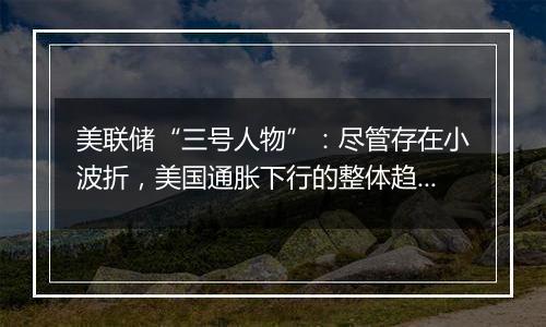 美联储“三号人物”：尽管存在小波折，美国通胀下行的整体趋势仍相当稳固