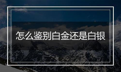 怎么鉴别白金还是白银