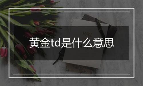 黄金td是什么意思