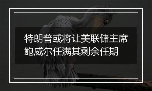 特朗普或将让美联储主席鲍威尔任满其剩余任期