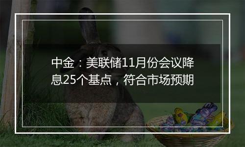中金：美联储11月份会议降息25个基点，符合市场预期