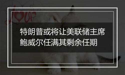 特朗普或将让美联储主席鲍威尔任满其剩余任期
