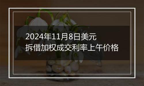 2024年11月8日美元拆借加权成交利率上午价格
