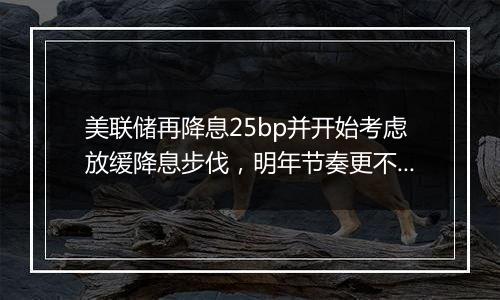 美联储再降息25bp并开始考虑放缓降息步伐，明年节奏更不确定