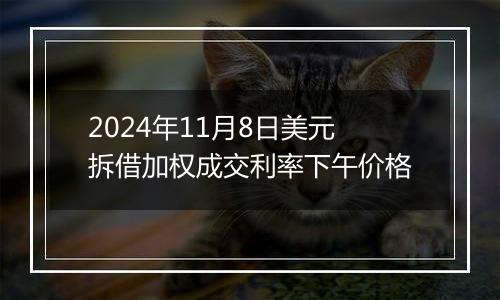 2024年11月8日美元拆借加权成交利率下午价格
