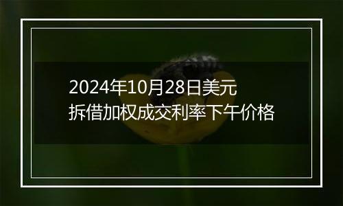2024年10月28日美元拆借加权成交利率下午价格