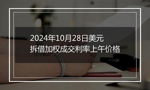 2024年10月28日美元拆借加权成交利率上午价格