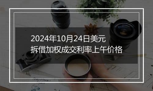 2024年10月24日美元拆借加权成交利率上午价格