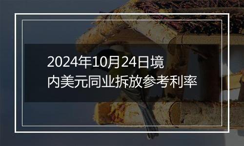 2024年10月24日境内美元同业拆放参考利率