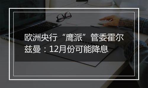 欧洲央行“鹰派”管委霍尔兹曼：12月份可能降息