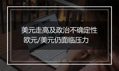 美元走高及政治不确定性 欧元/美元仍面临压力