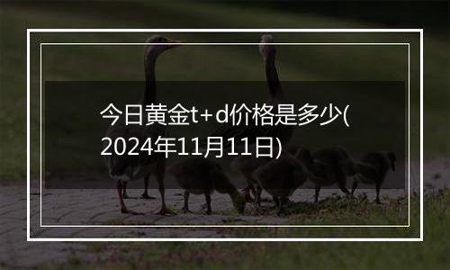 今日黄金t+d价格是多少(2024年11月11日)