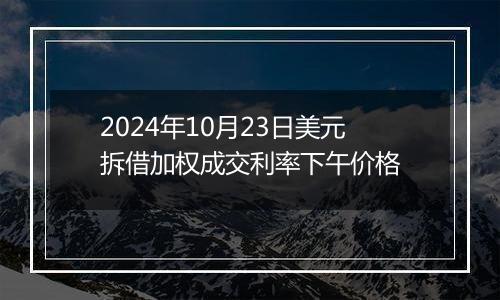 2024年10月23日美元拆借加权成交利率下午价格