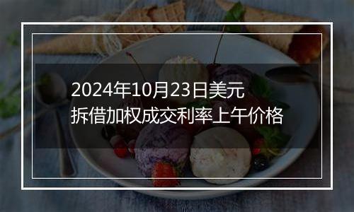 2024年10月23日美元拆借加权成交利率上午价格