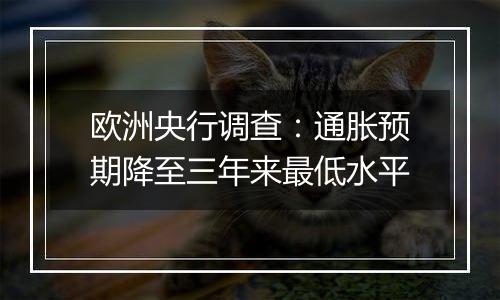 欧洲央行调查：通胀预期降至三年来最低水平