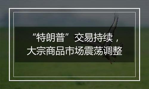 “特朗普”交易持续，大宗商品市场震荡调整
