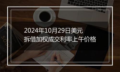 2024年10月29日美元拆借加权成交利率上午价格