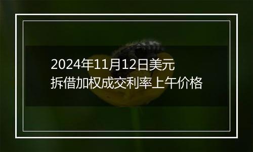2024年11月12日美元拆借加权成交利率上午价格