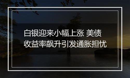 白银迎来小幅上涨 美债收益率飙升引发通胀担忧