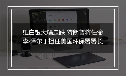纸白银大幅走跌 特朗普将任命李·泽尔丁担任美国环保署署长