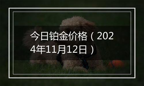 今日铂金价格（2024年11月12日）