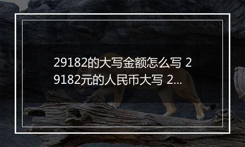 29182的大写金额怎么写 29182元的人民币大写 29182元的数字大写