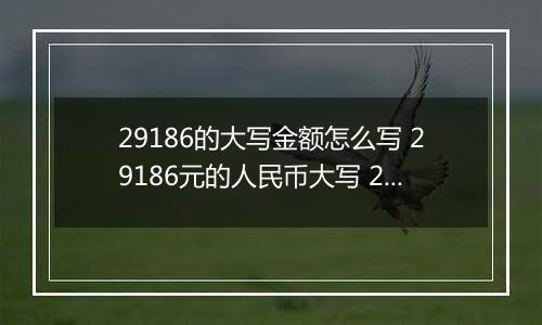 29186的大写金额怎么写 29186元的人民币大写 29186元的数字大写